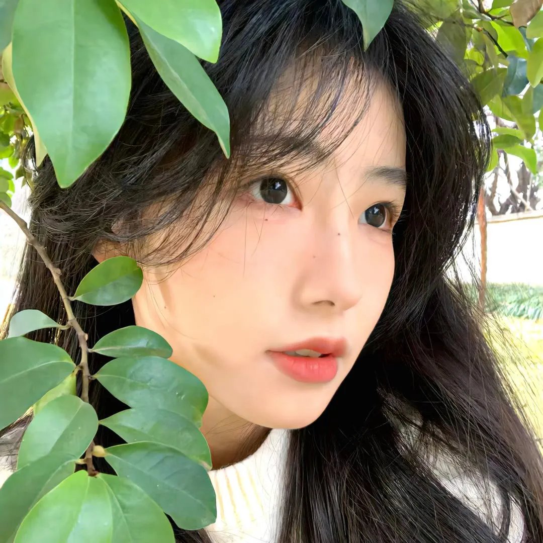 口径